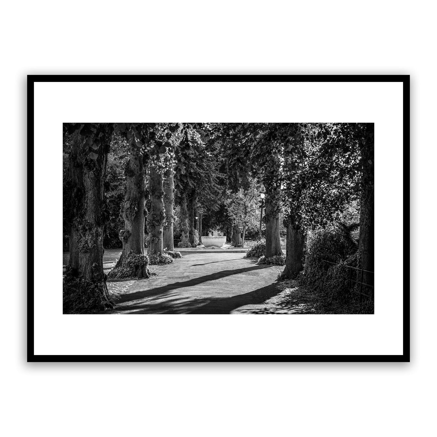 Dane John Gardens, fountain, trees, path, Canterbury. Fine art black and white photography print for sale.