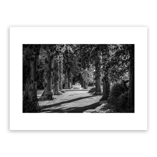 Dane John Gardens, fountain, trees, path, Canterbury. Fine art black and white photography print for sale.
