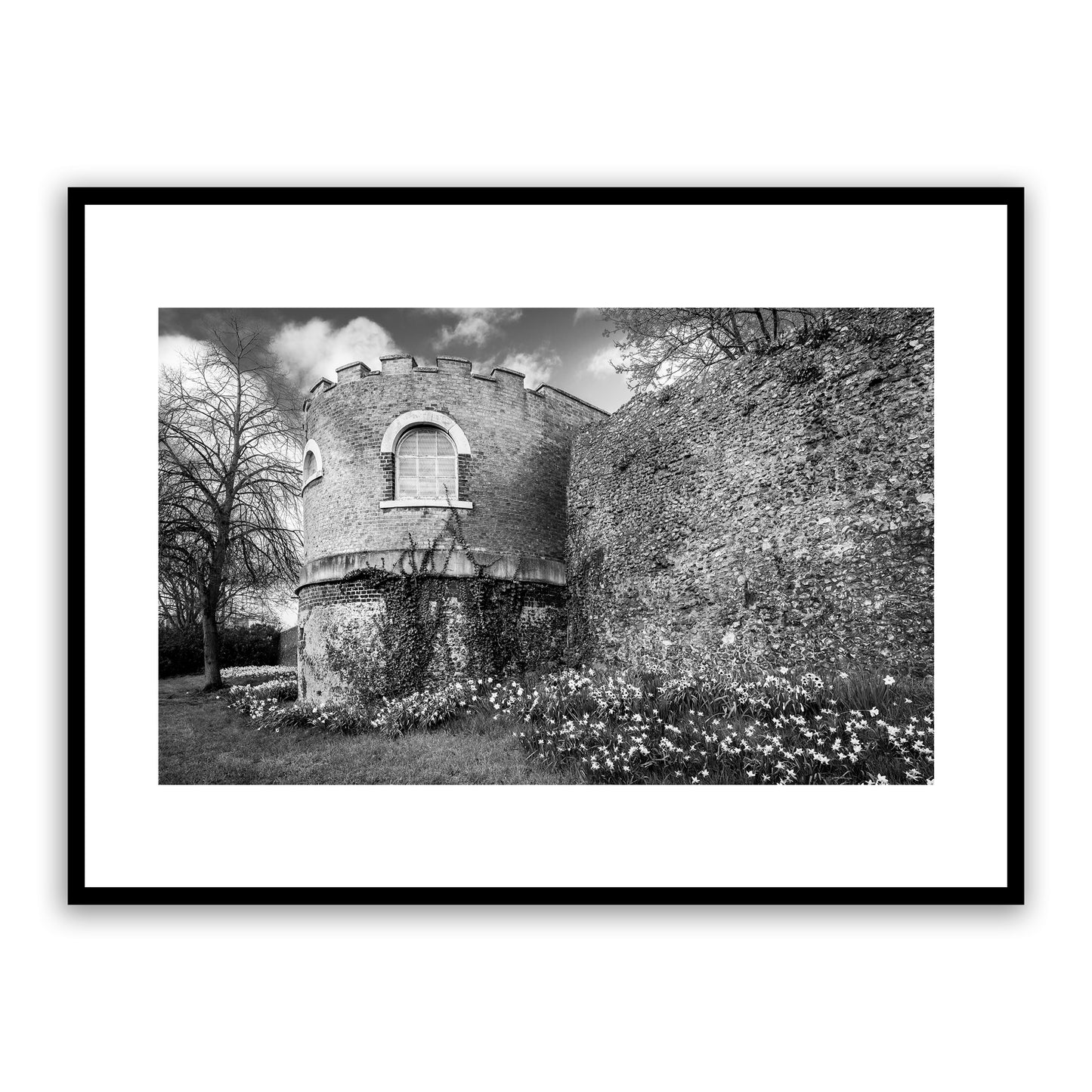 One of the distinctive half-circular or 'horse-shoe' medieval towers on Canterbury’s ancient city wall, surrounded by flowering daffodils in early spring. Medieval City, Canterbury, Kent, England. Fine art black and white photography print for sale.