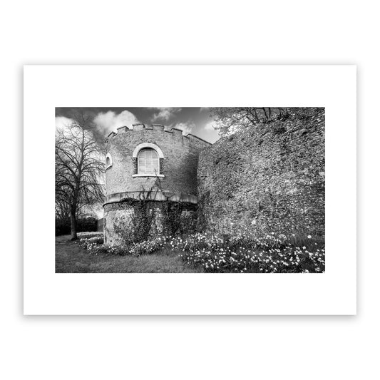 One of the distinctive half-circular or 'horse-shoe' medieval towers on Canterbury’s ancient city wall, surrounded by flowering daffodils in early spring. Medieval City, Canterbury, Kent, England. Fine art black and white photography print for sale.